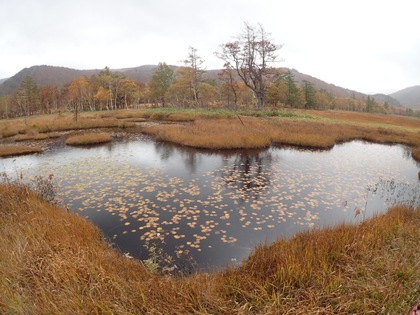 Autumn in Oze National Park ♪ Autumn in Oze National Park ♪