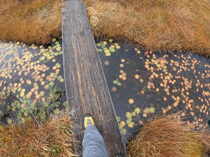 Autumn in Oze National Park ♪ Autumn in Oze National Park ♪