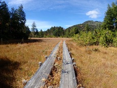 Autumn in Oze National Park ♪