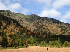 Autumn in Oze National Park ♪