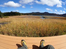 Autumn in Oze National Park ♪
