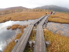 Autumn in Oze National Park ♪
