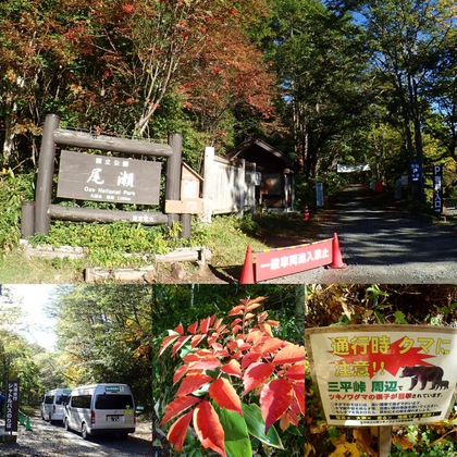 Autumn in Oze National Park ♪ Autumn in Oze National Park ♪