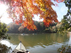 亀山湖 紅葉ツーリング ♪