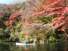 亀山湖 紅葉ツーリング ♪