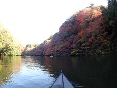 亀山湖 紅葉ツーリング ♪
