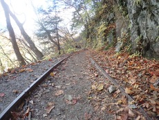 紅葉ハイキング♪ 西沢渓谷