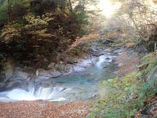 紅葉ハイキング♪ 西沢渓谷