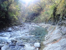 紅葉ハイキング♪ 西沢渓谷