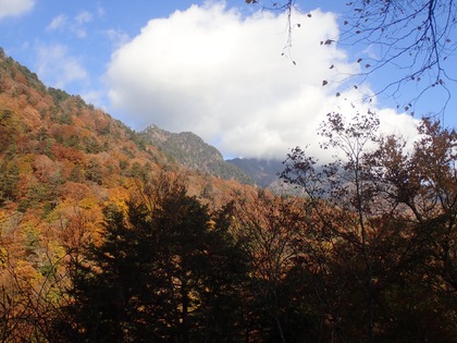 紅葉ハイキング♪ 西沢渓谷 紅葉ハイキング♪ 西沢渓谷