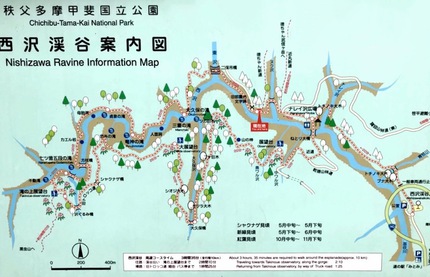 紅葉ハイキング♪ 西沢渓谷 紅葉ハイキング♪ 西沢渓谷