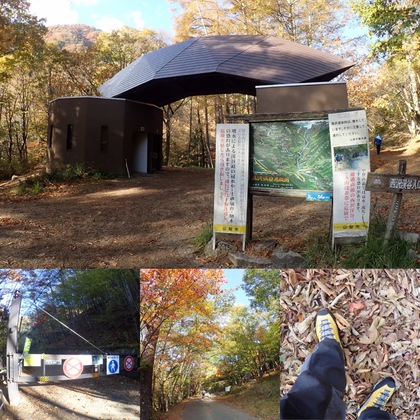 紅葉ハイキング♪ 西沢渓谷 紅葉ハイキング♪ 西沢渓谷