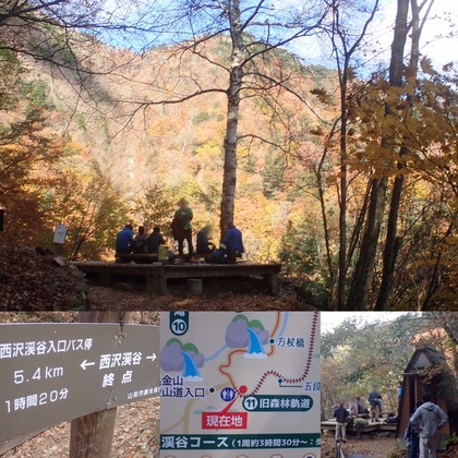 紅葉ハイキング♪ 西沢渓谷 紅葉ハイキング♪ 西沢渓谷