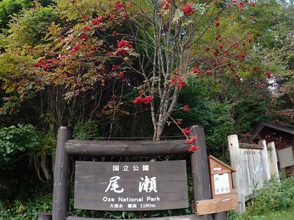 尾瀬ハイキング♪ 尾瀬ハイキング♪