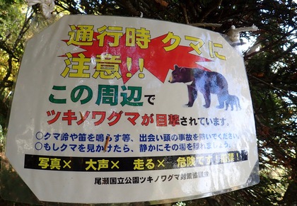 尾瀬ハイキング♪ 尾瀬ハイキング♪