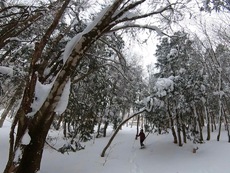 Winter Holiday