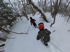 Winter Holiday