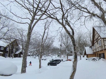 Winter Holiday Winter Holiday