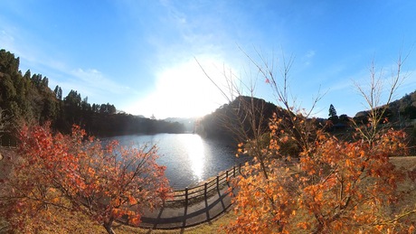 亀山湖で紅葉ツーリング♪ 亀山湖で紅葉ツーリング♪