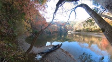 亀山湖で紅葉ツーリング♪