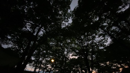 安曇野で水遊びとキャンプ♪ 安曇野で水遊びとキャンプ♪