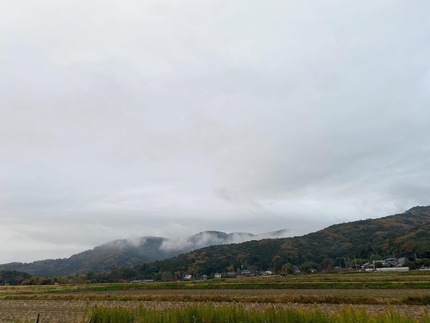 里山トレッキング♪ 里山トレッキング♪