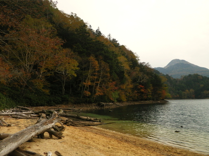紅葉カヌー♪ 紅葉カヌー♪