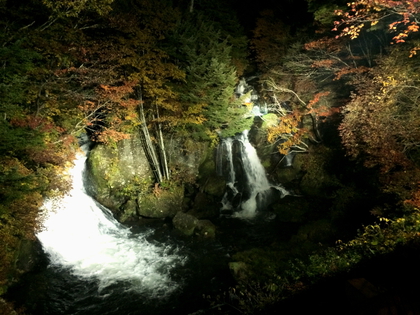 紅葉カヌー♪ 紅葉カヌー♪