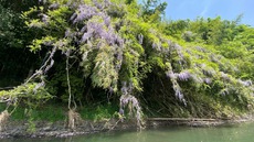 那珂川でのんびり川下りキャンプ♪