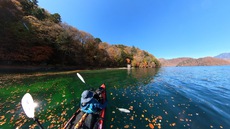 紅葉の中禅寺湖をカヤックで水上散歩♪