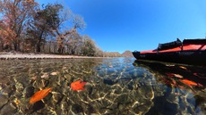 紅葉の中禅寺湖をカヤックで水上散歩♪