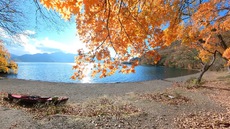 紅葉の中禅寺湖をカヤックで水上散歩♪