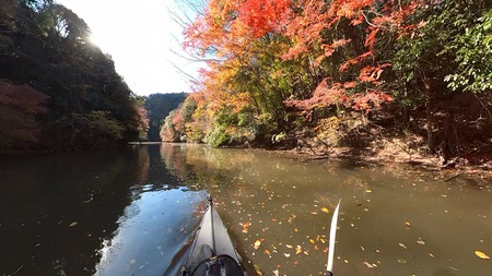 紅葉の亀山湖をカヤックツーリング 紅葉の亀山湖をカヤックツーリング