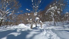 のんびり雪遊び♪