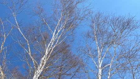残雪の奥日光をハイキング♪ 残雪の奥日光をハイキング♪