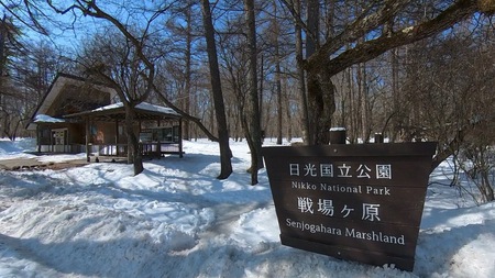 残雪の奥日光をハイキング♪ 残雪の奥日光をハイキング♪