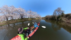 お花見カヤック♪