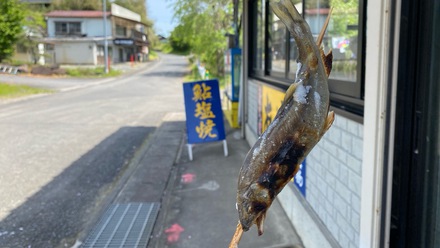 のんびり川下りキャンプ♪ のんびり川下りキャンプ♪