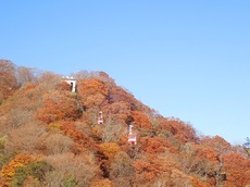 紅葉の中禅寺湖 ♪