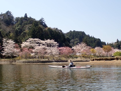 亀山湖でお花見ツーリング♪ 亀山湖でお花見ツーリング♪