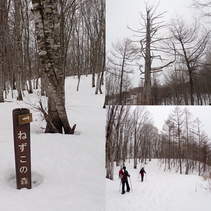 のんびり大人の雪遊び♪ のんびり大人の雪遊び♪