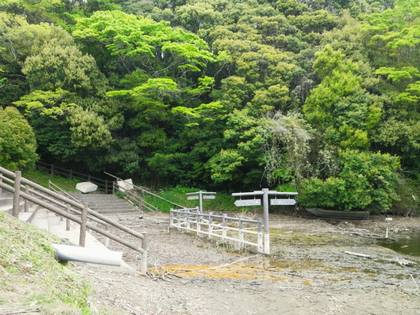 新緑の亀山湖 ♪ 新緑の亀山湖 ♪