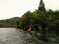 新緑の亀山湖 ♪