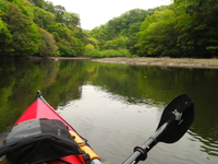 新緑の亀山湖 ♪