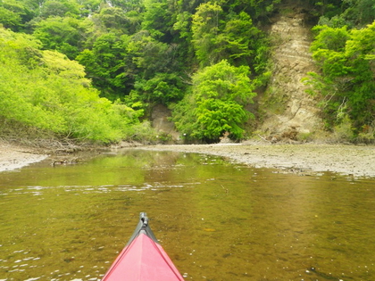 新緑の亀山湖 ♪ 新緑の亀山湖 ♪