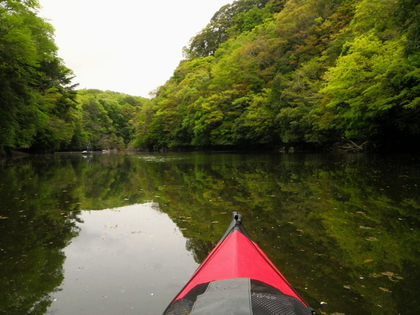 新緑の亀山湖 ♪ 新緑の亀山湖 ♪