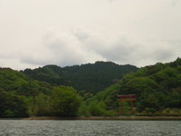 新緑の亀山湖 ♪