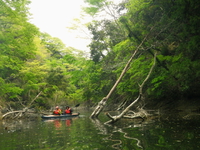 新緑の亀山湖 ♪