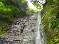 新緑の亀山湖 ♪