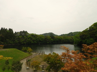新緑の亀山湖 ♪